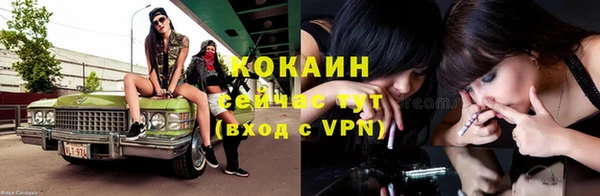 герыч Пересвет