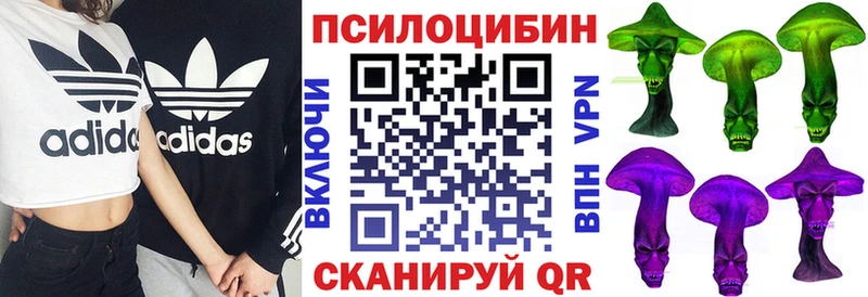 Купить  Таштагол  Галлюциногенные грибы Psilocybe 